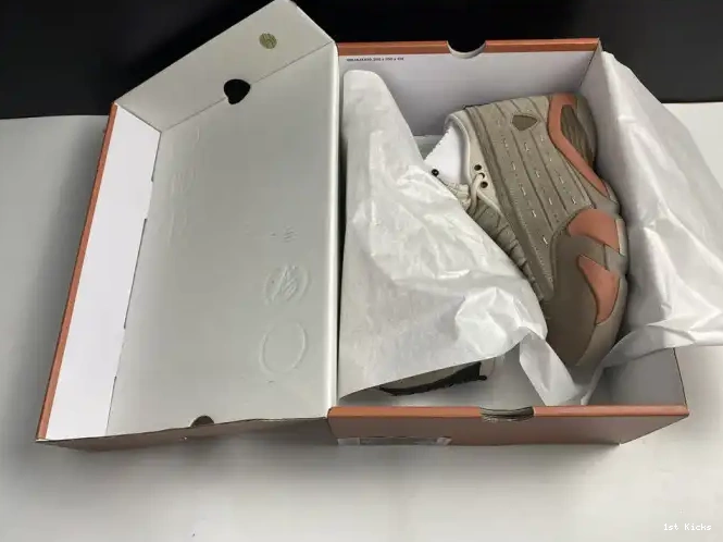14 Low Jordan Blush Retro DC9857-200 Clot Terra AIR 0520